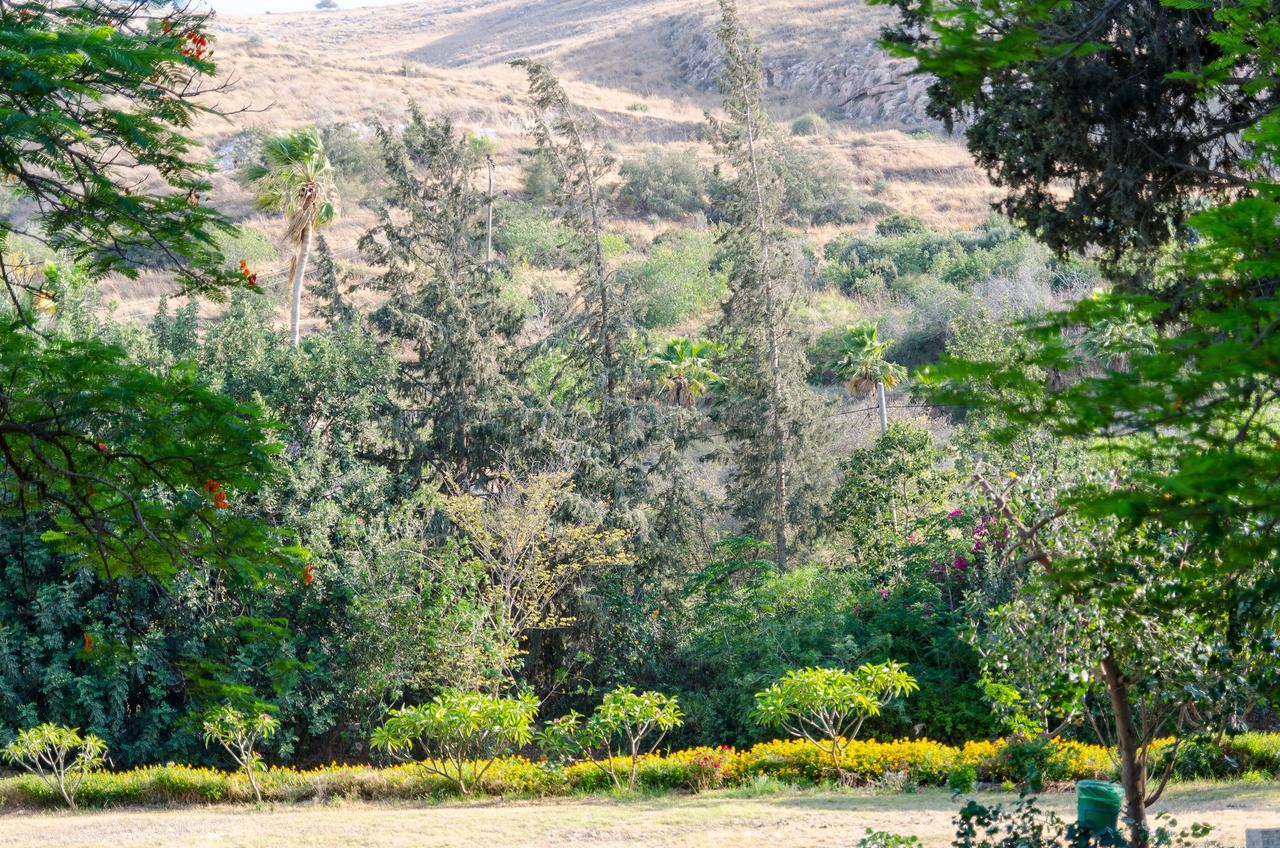 Bait Alfa Kibbutz Country Lodging Bet Alfa Cameră foto